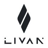 Логотип Livan