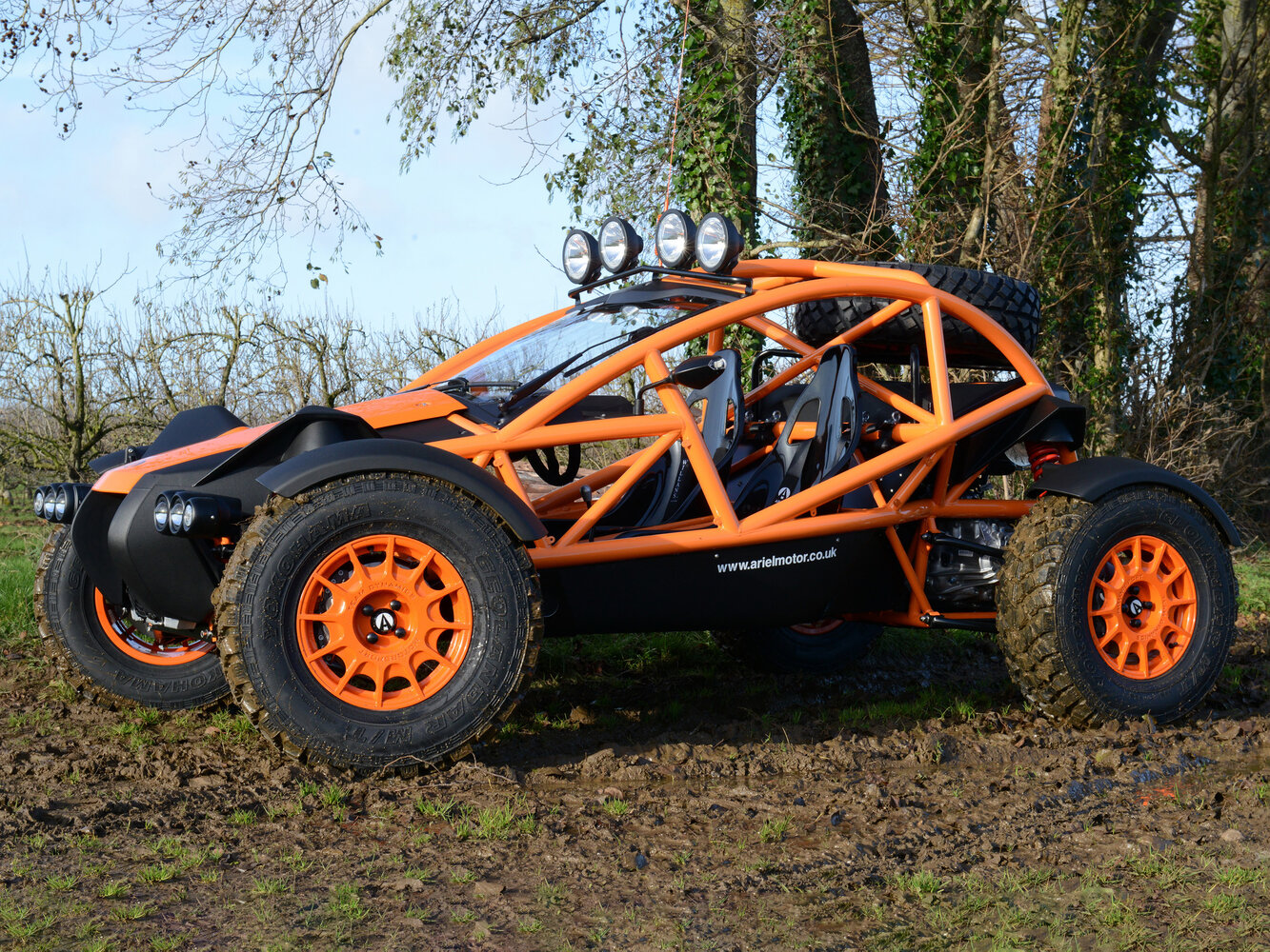 Ariel Nomad, фото