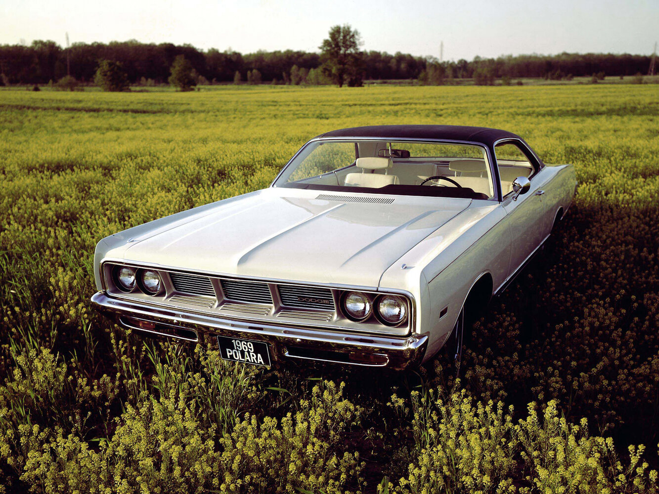 Dodge Polara IV, Купе: фото поколения