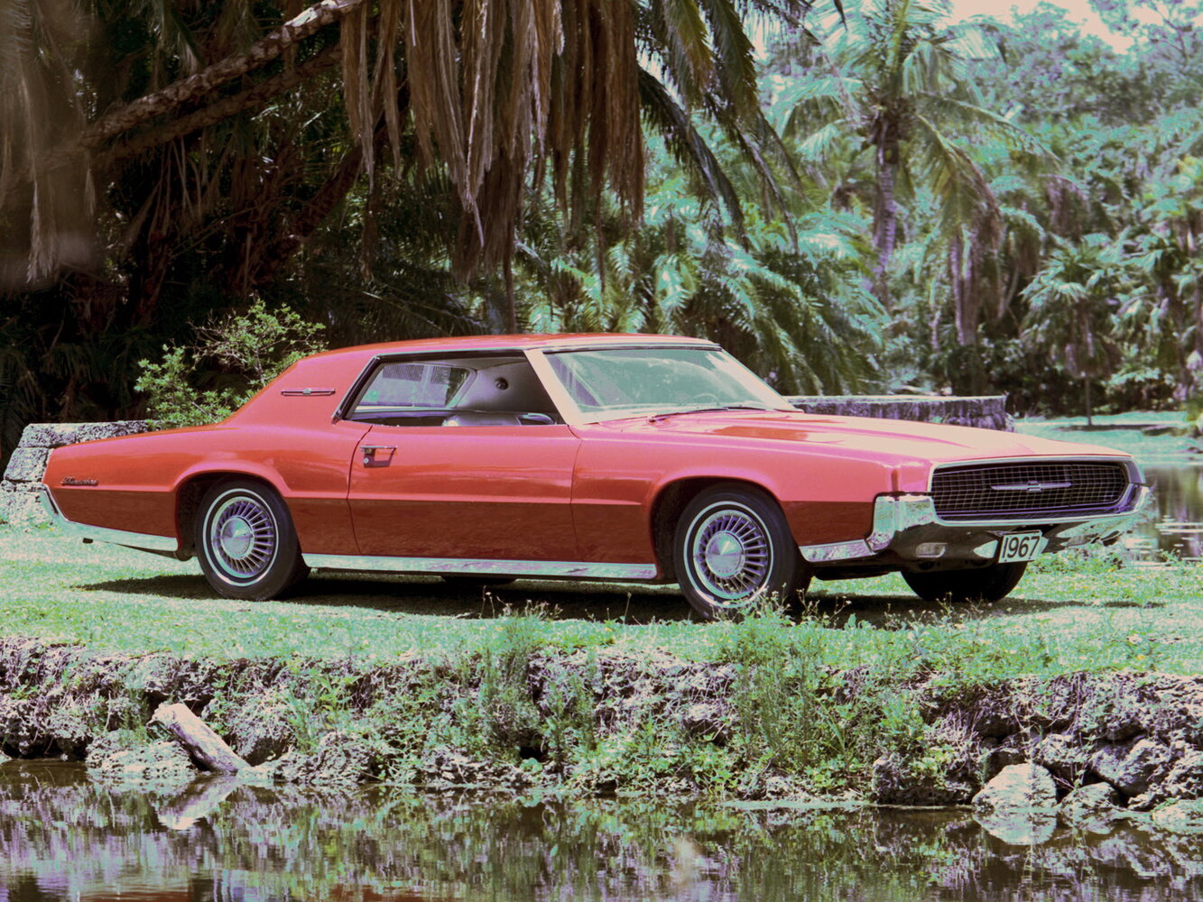 Ford Thunderbird V