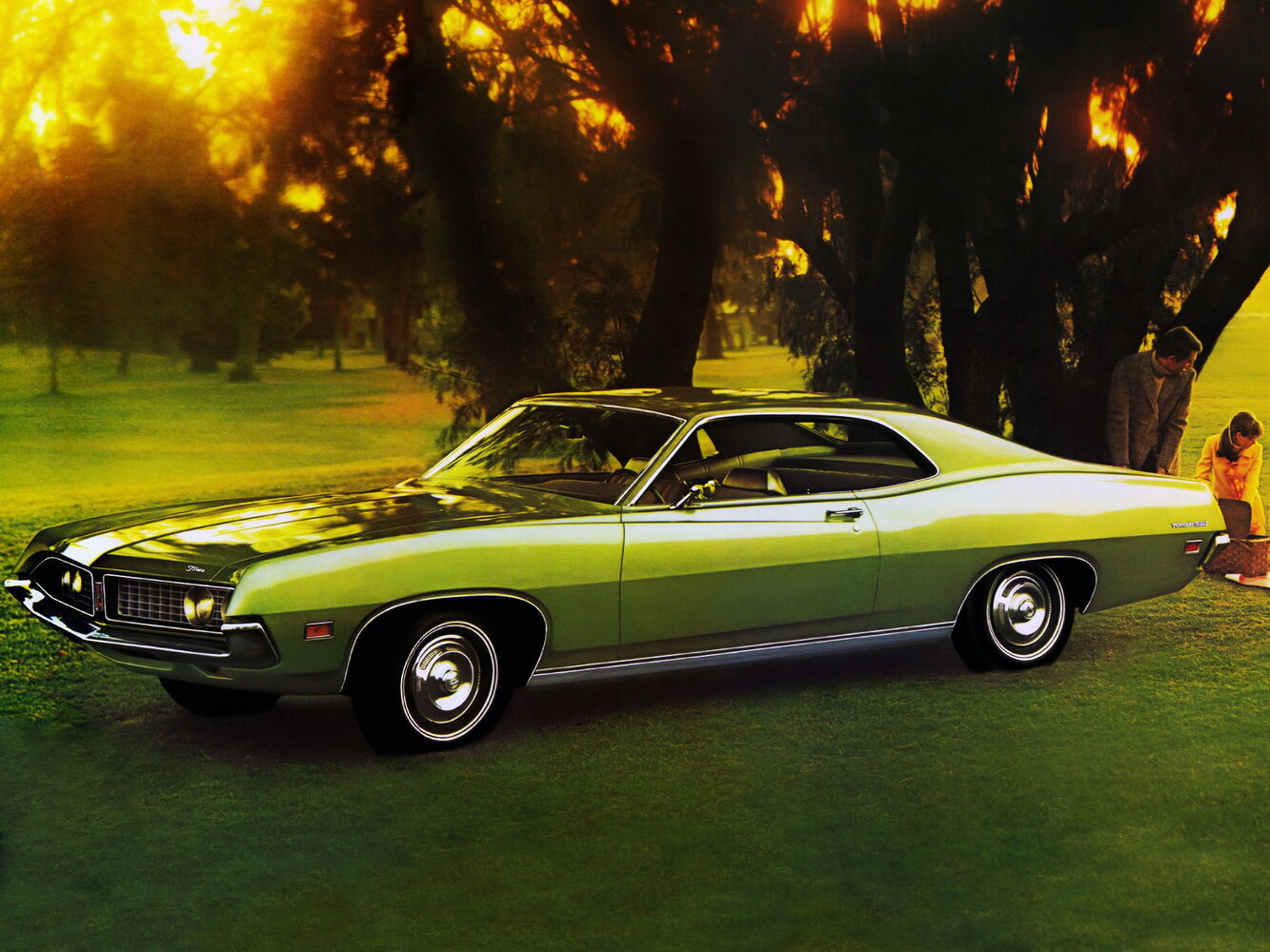 Ford Torino II