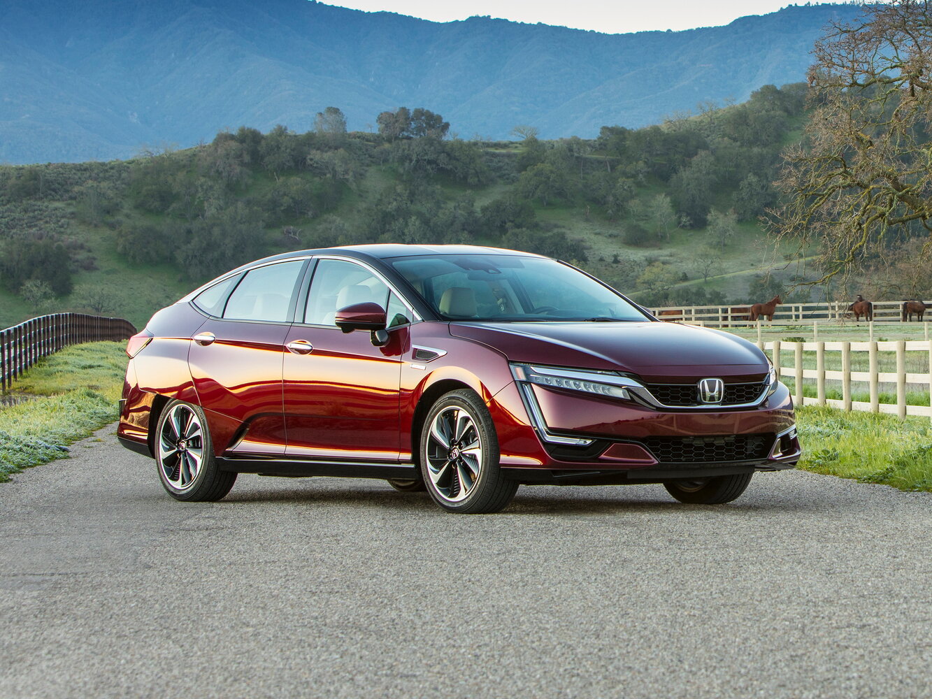 Honda Clarity