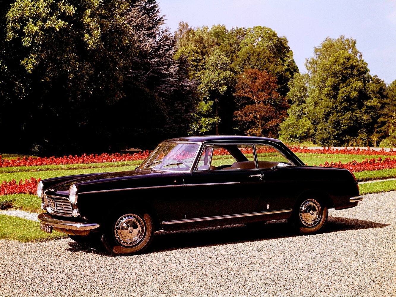 Peugeot 404, Купе: фото поколения