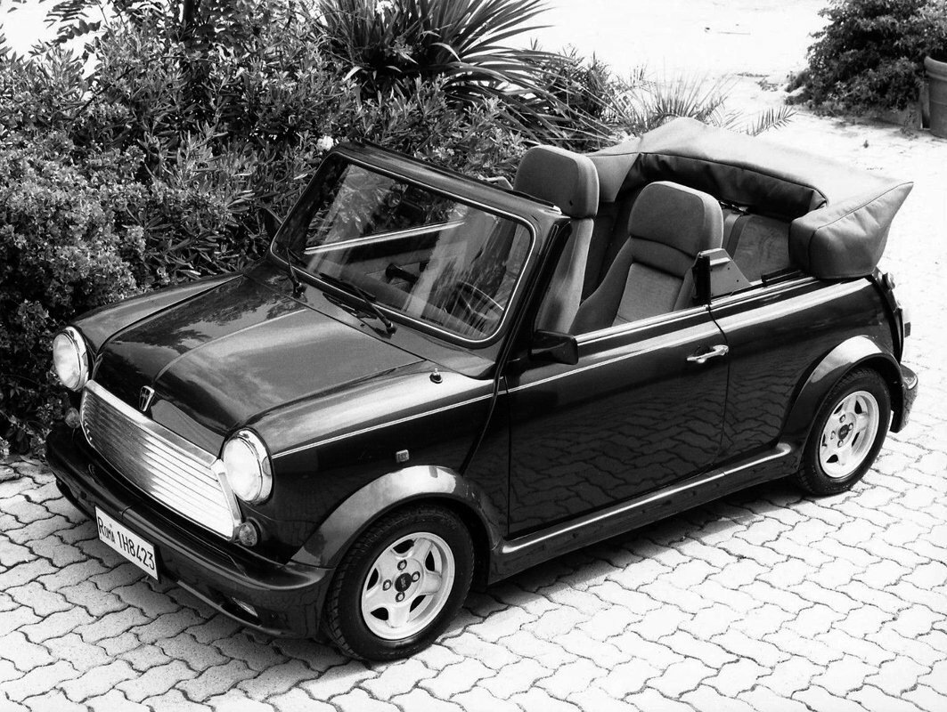 Rover Mini